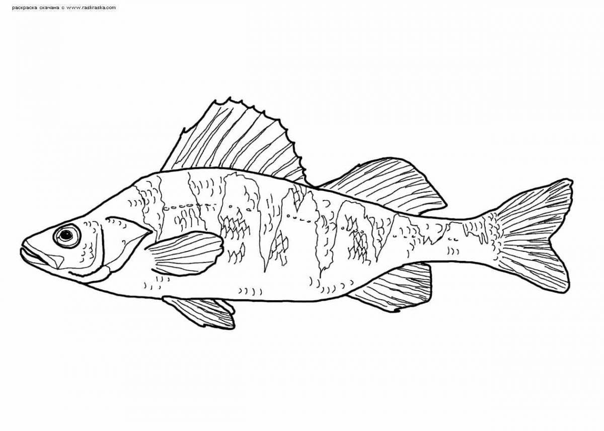 Amazing river fish coloring page