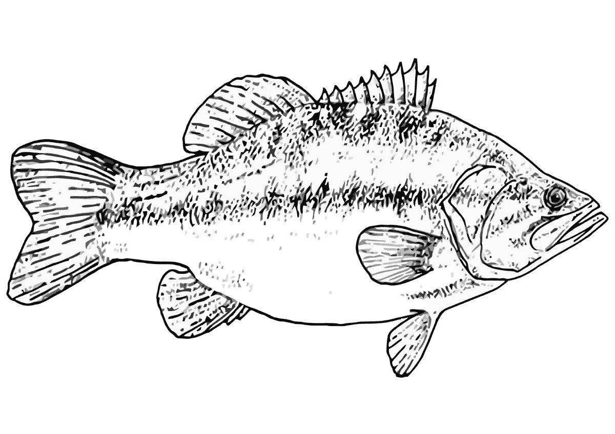 Coloring page charming river fish