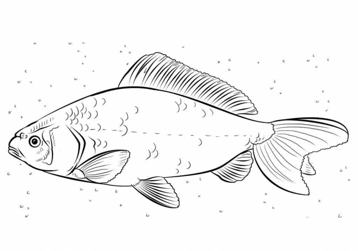 Восхитительная страница раскраски речной рыбы