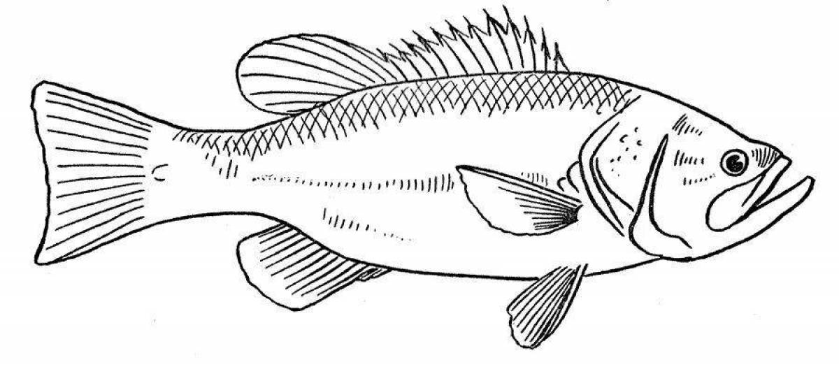 Coloring page wonderful river fish