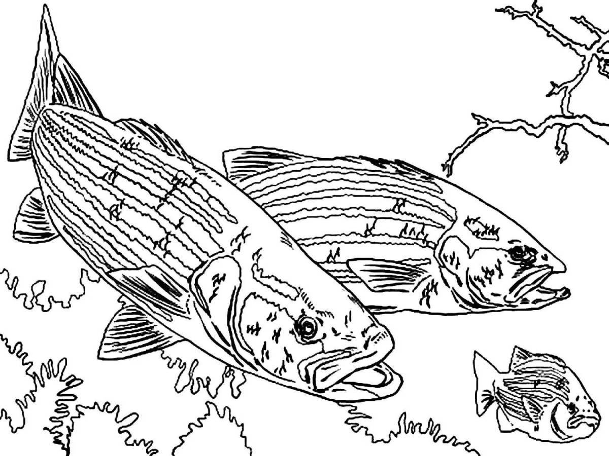 Coloring book exciting river fish