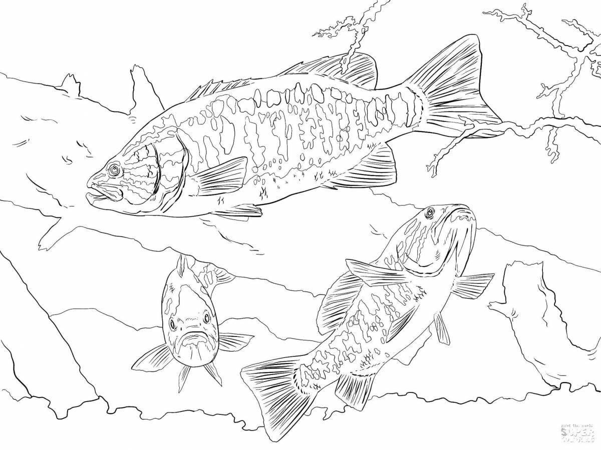 Unique river fish coloring page