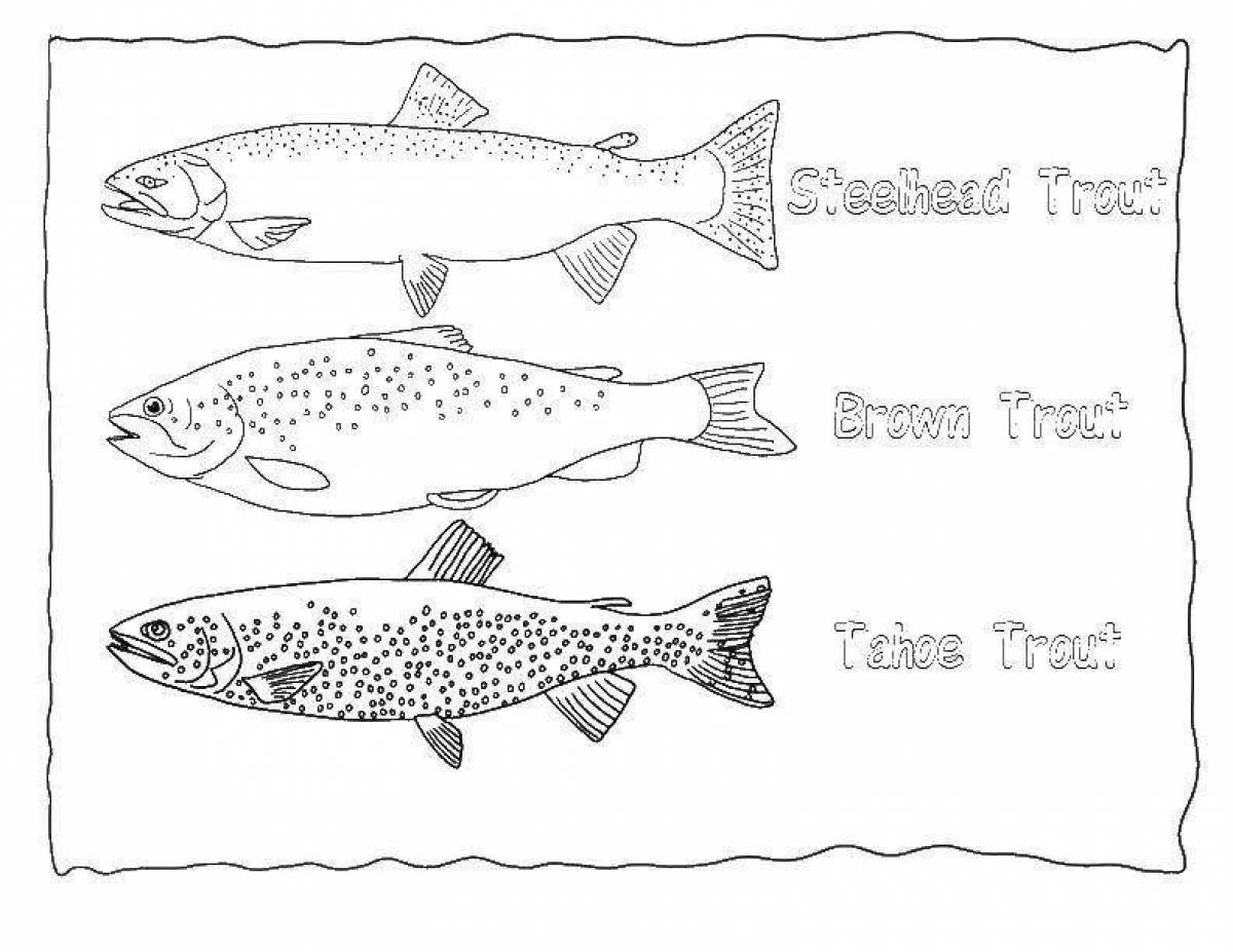 Coloring page unusual river fish