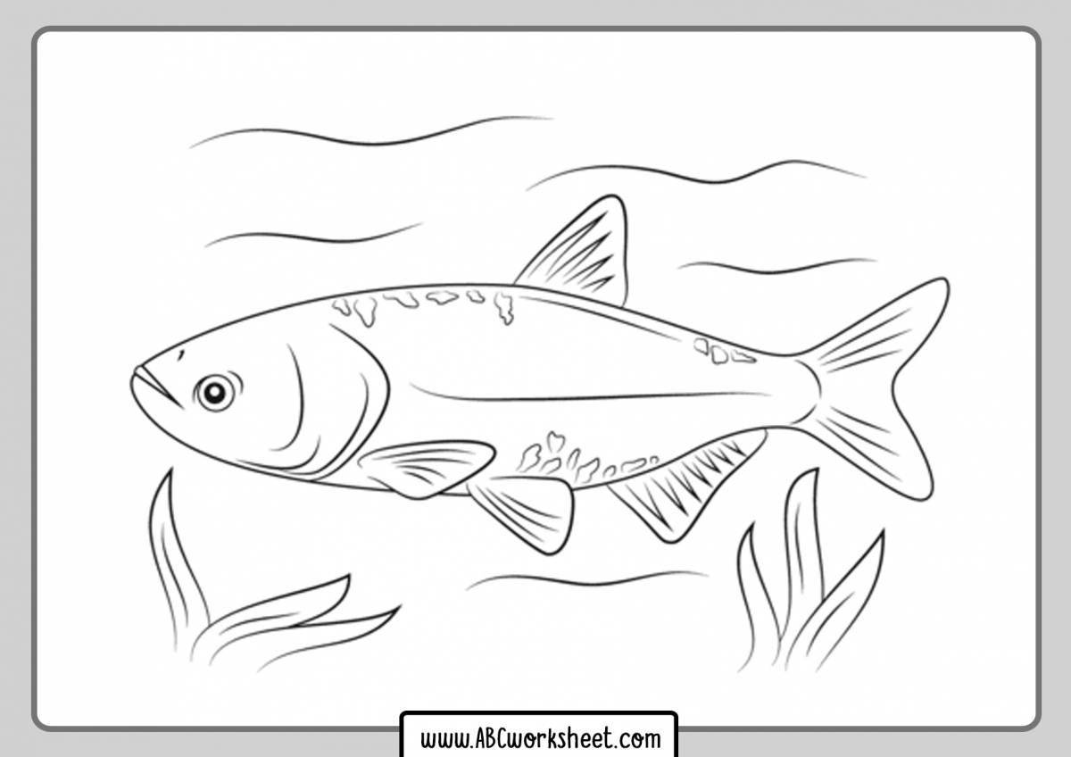 Раскраска редкая речная рыба