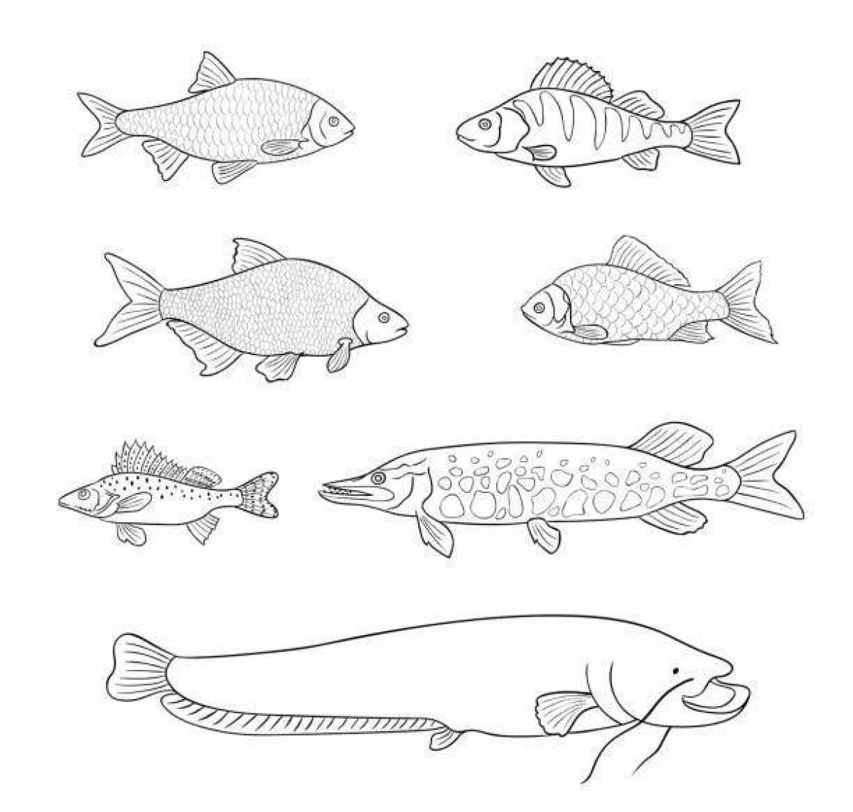 Исключительная страница раскраски речной рыбы