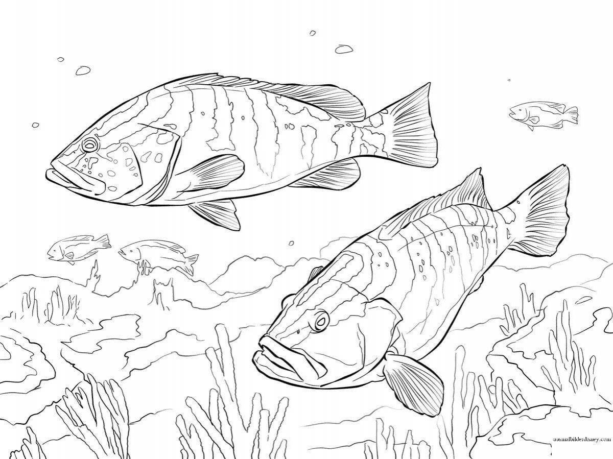 River fish #4