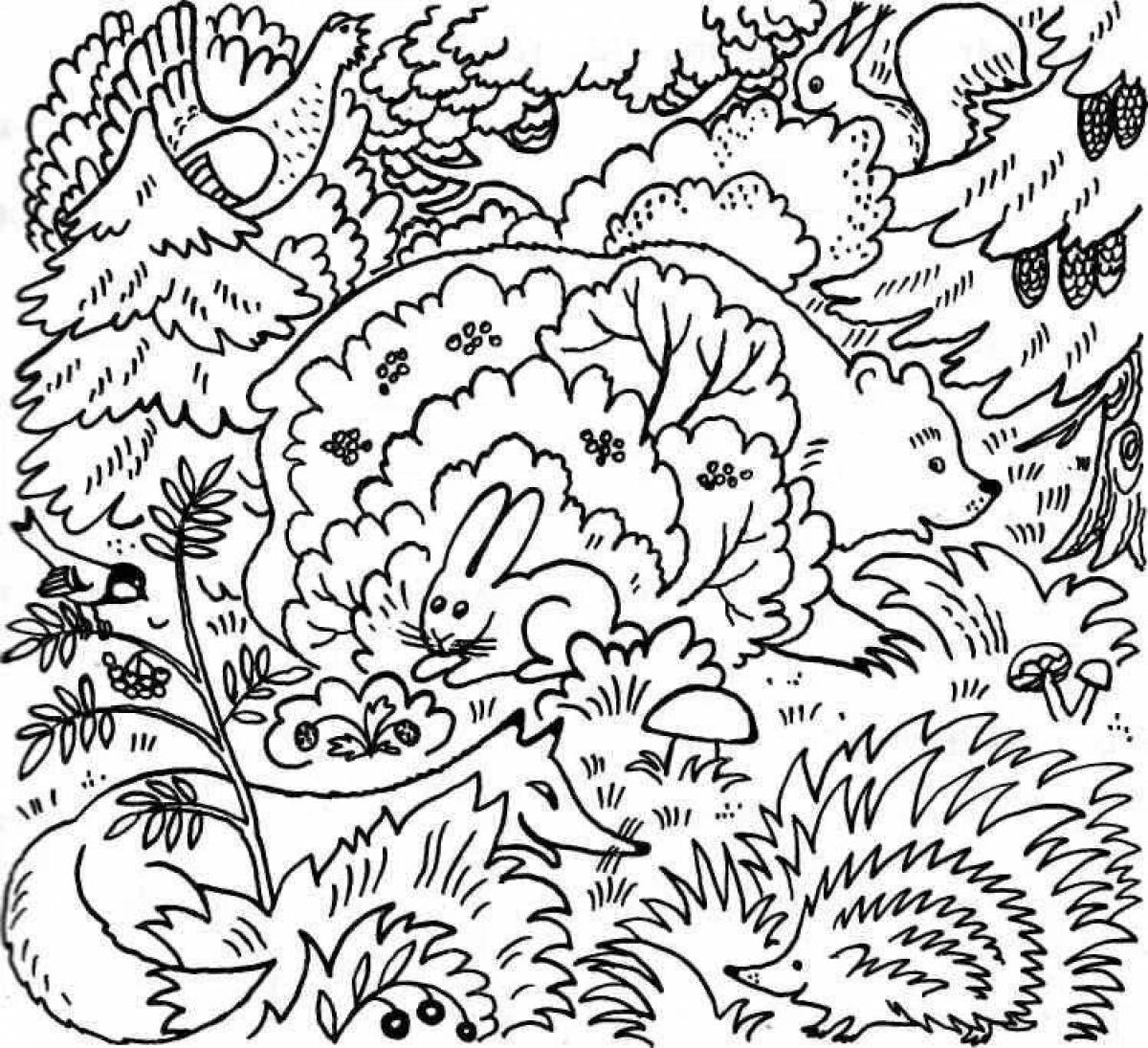 Magic coloring hidden worlds