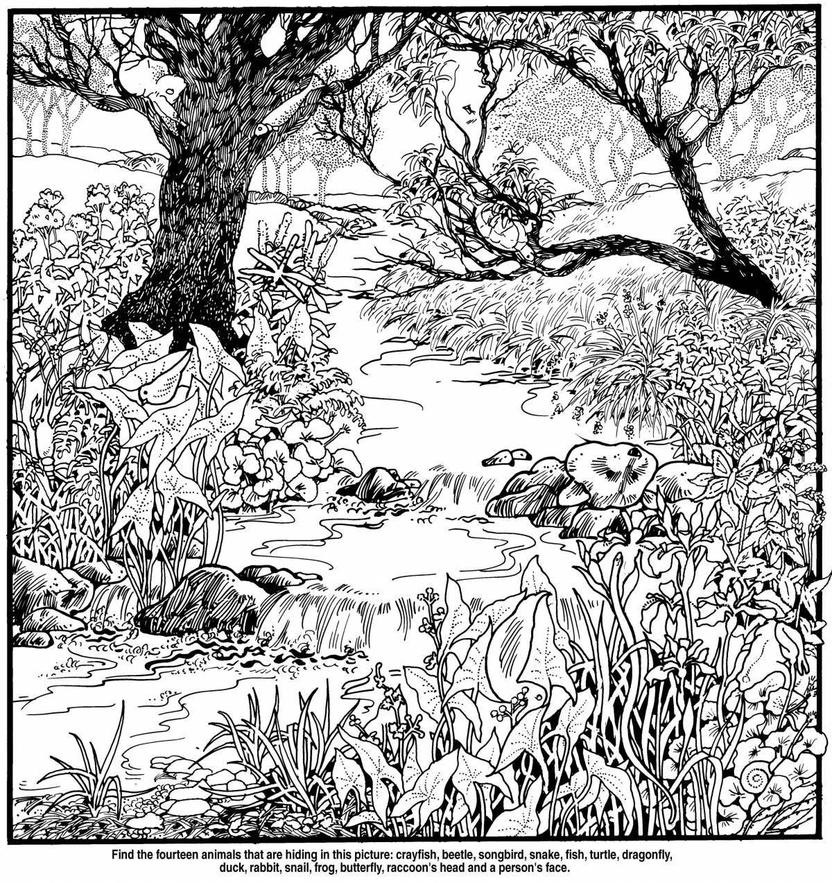 Great coloring hidden worlds