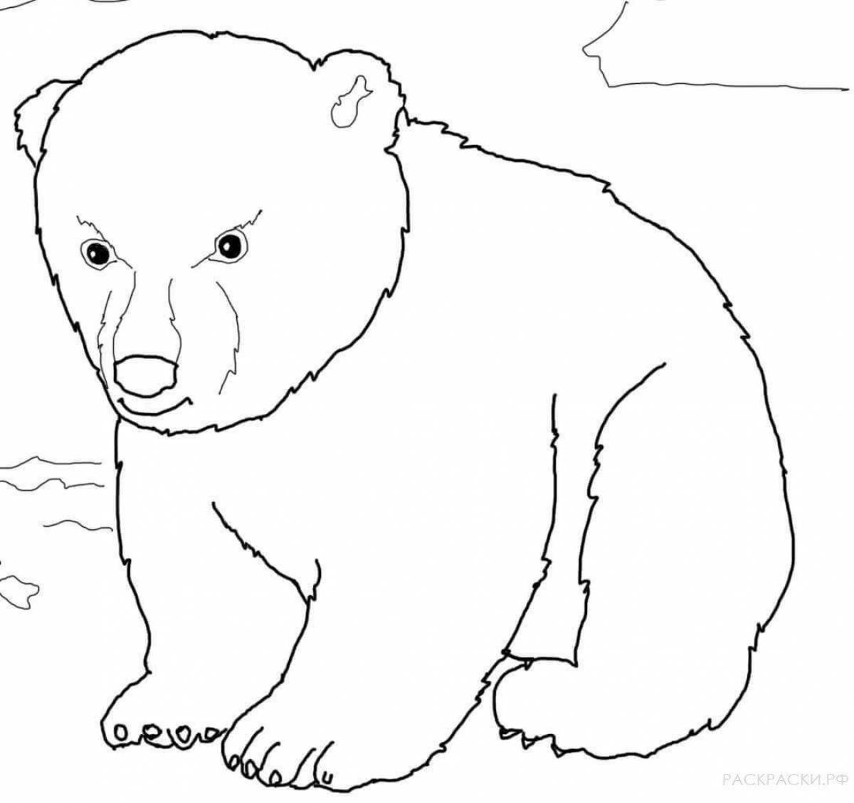Очаровательная раскраска белого медведя для детей 3-4 лет