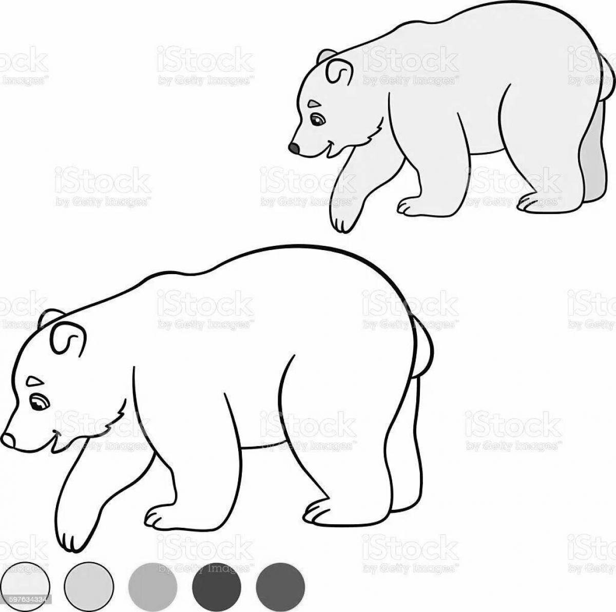 Живая раскраска белого медведя для детей 3-4 лет