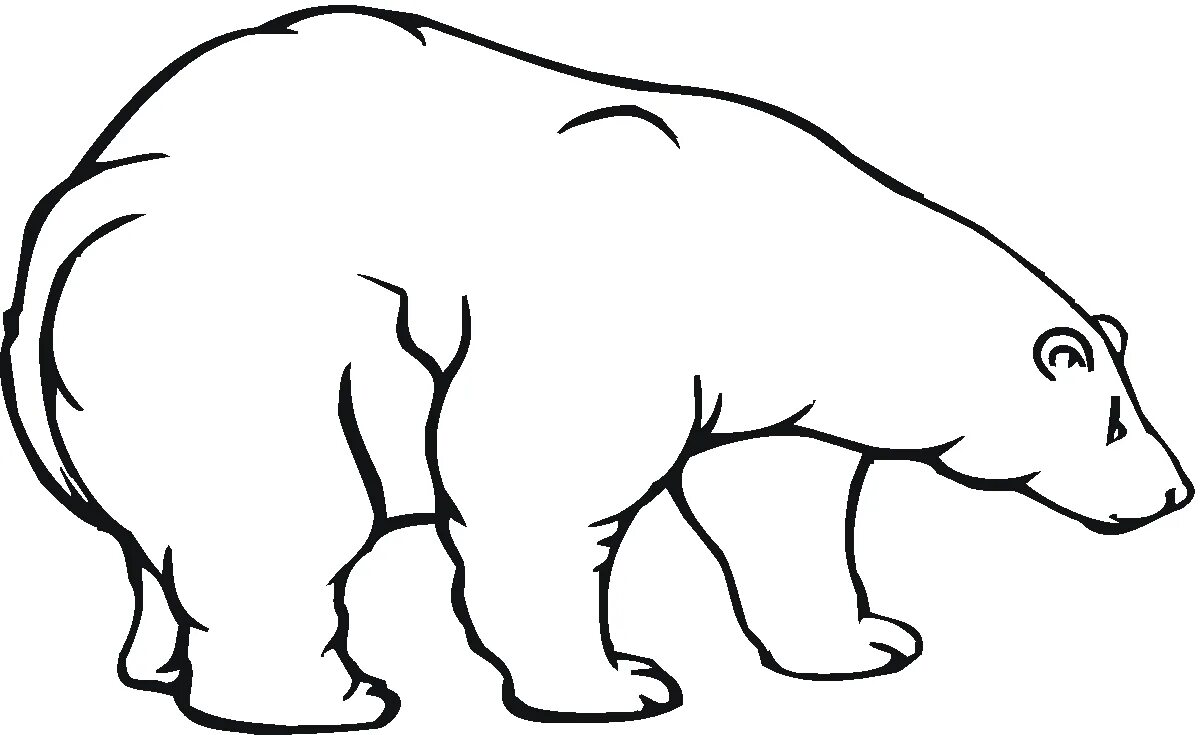 Раскраска «блаженный белый медведь» для детей 3-4 лет