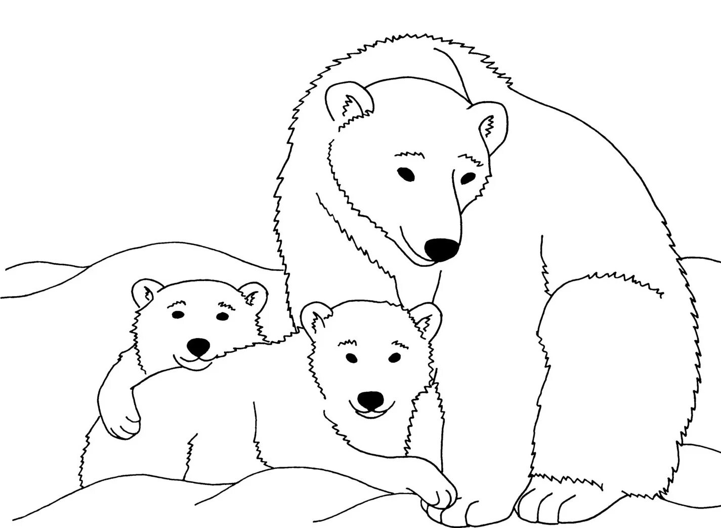 Развлекательная раскраска «белый медведь» для детей 3-4 лет