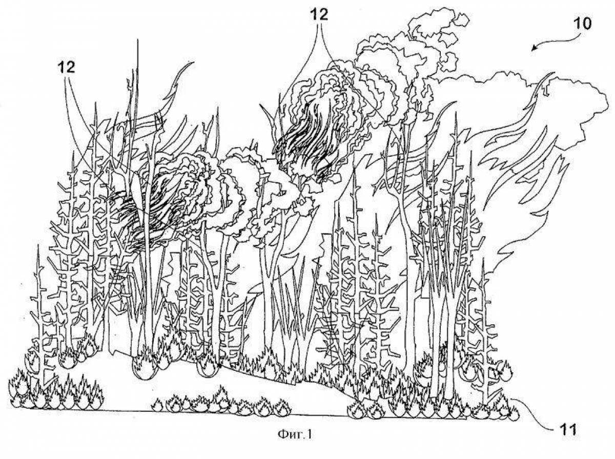 Картинка пожар в лесу для раскраски