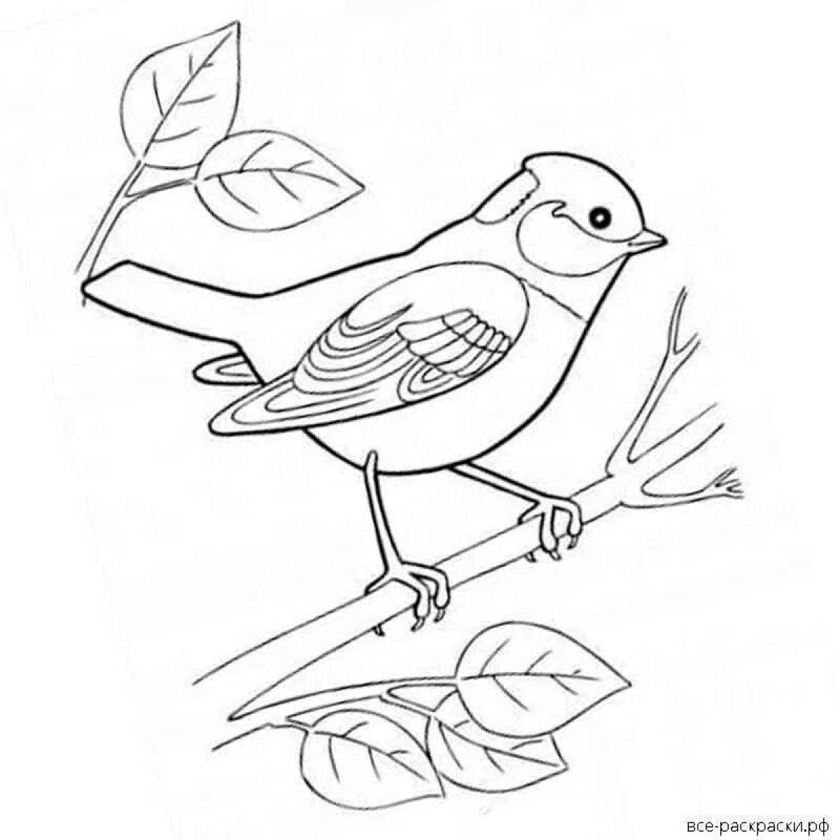 Контурные рисунки птицы на ветке