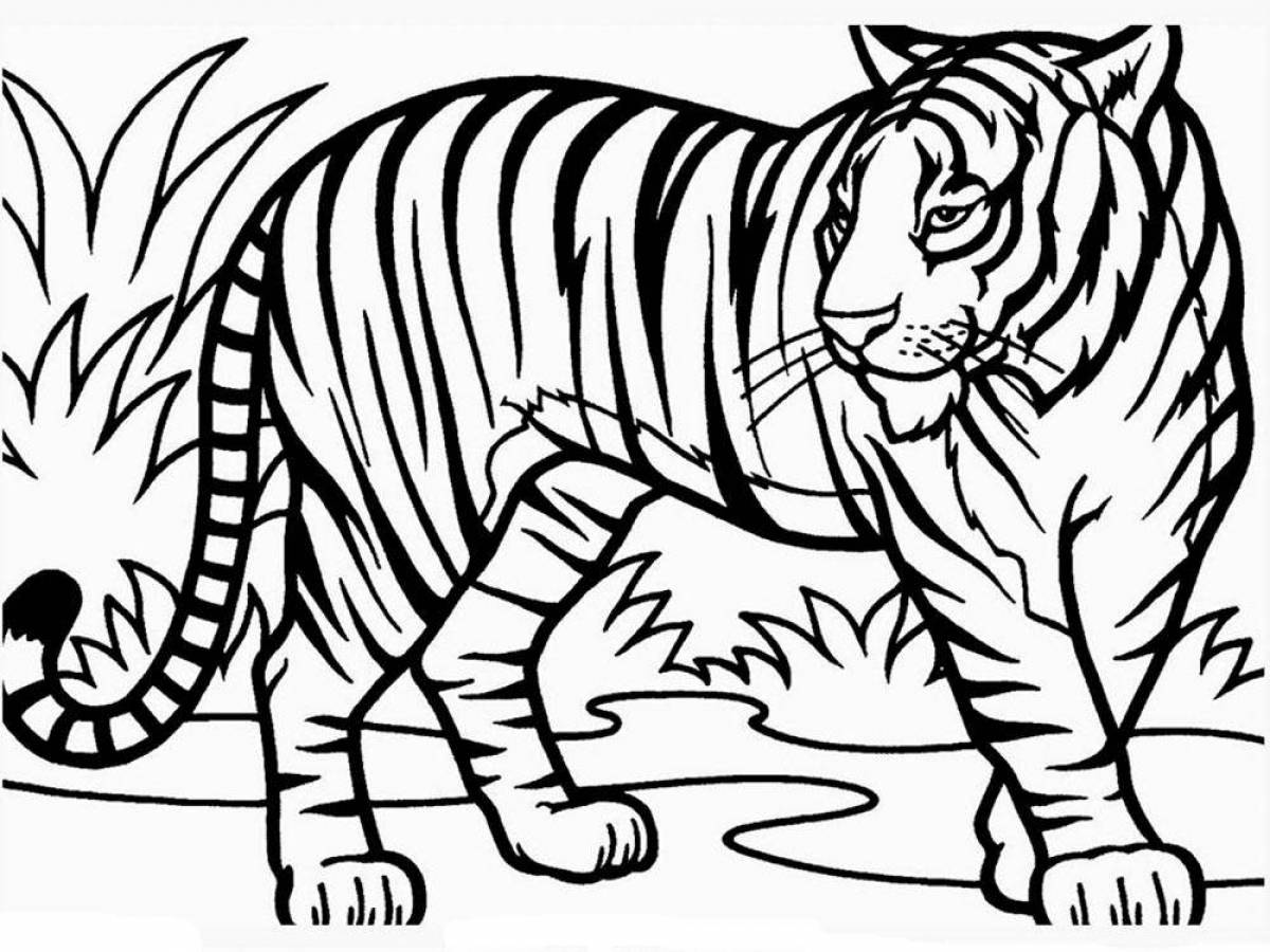 Раскраска яркий бенгальский тигр