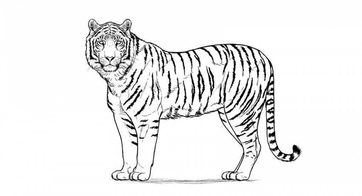 Раскраска сияющий бенгальский тигр