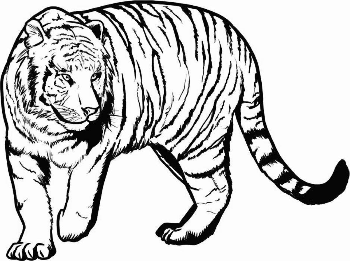 Раскраска изысканный бенгальский тигр