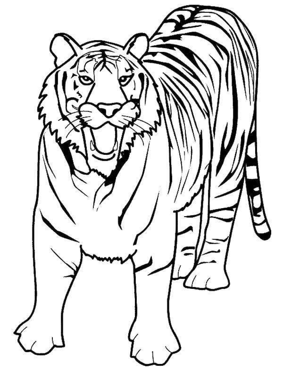 Раскраска впечатляющий бенгальский тигр