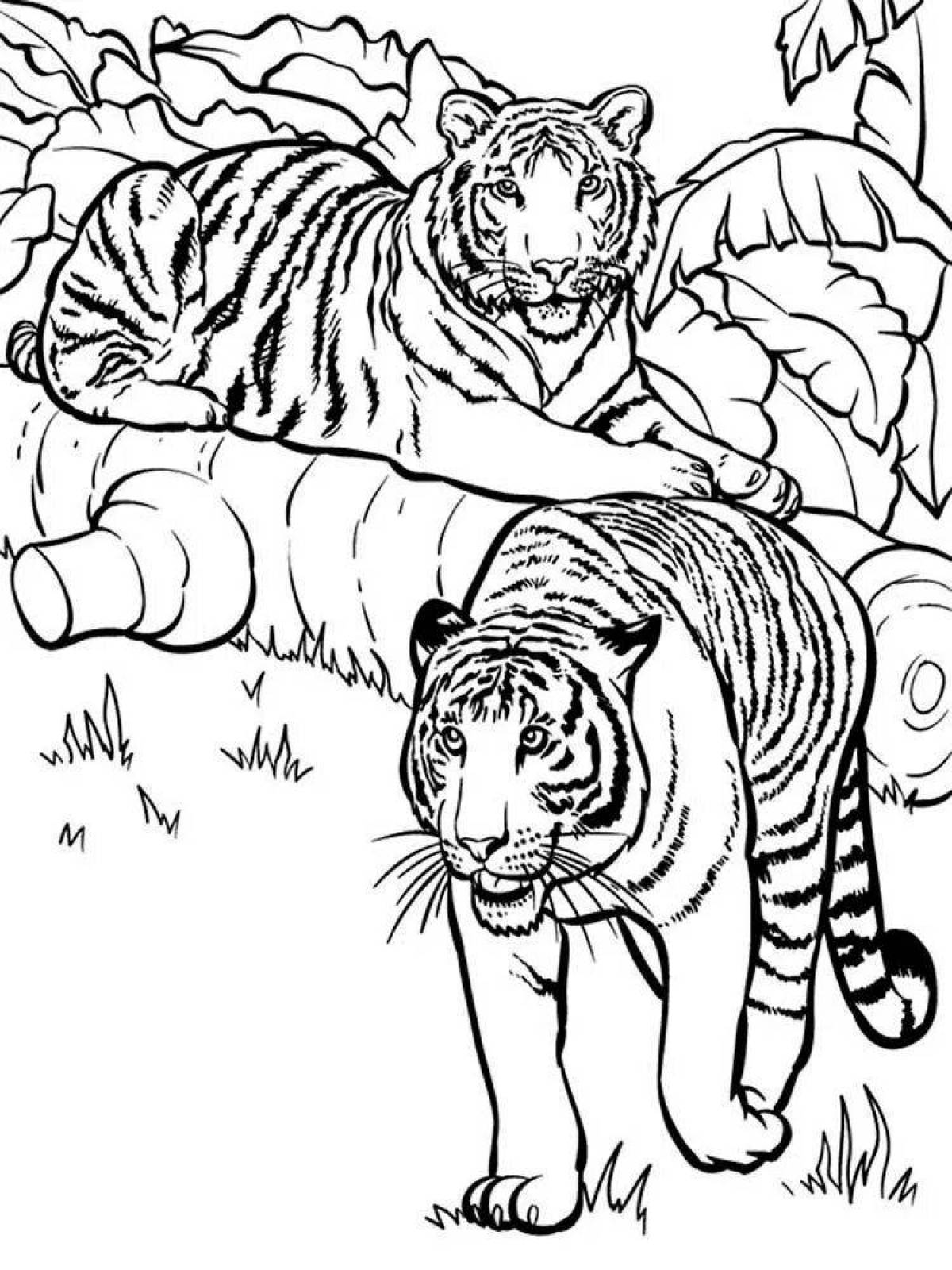 Раскраска завораживающий бенгальский тигр