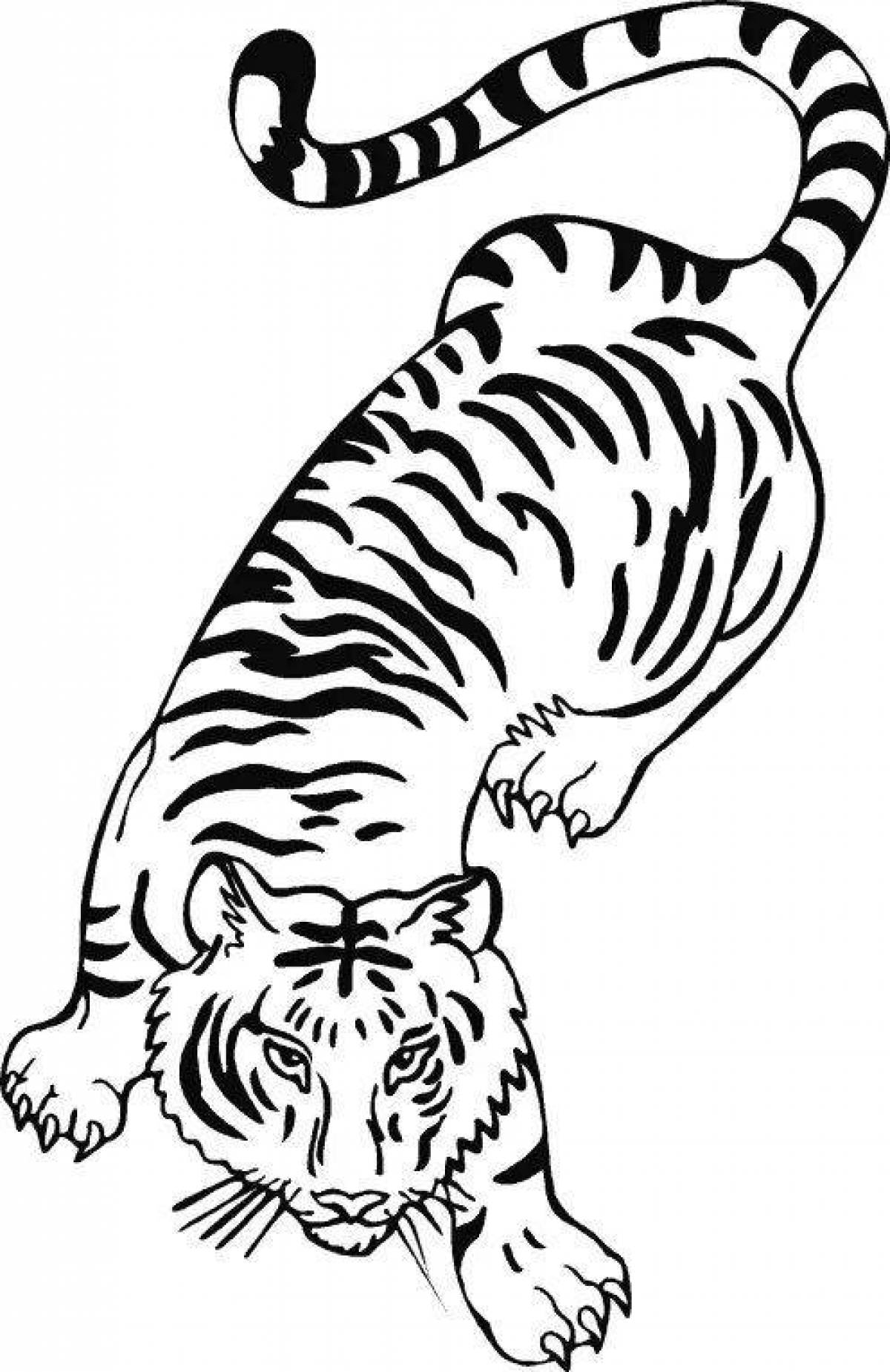 Раскраска красочный бенгальский тигр