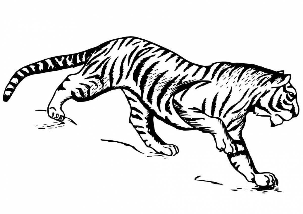 Блестяще закрашенный бенгальский тигр раскраска
