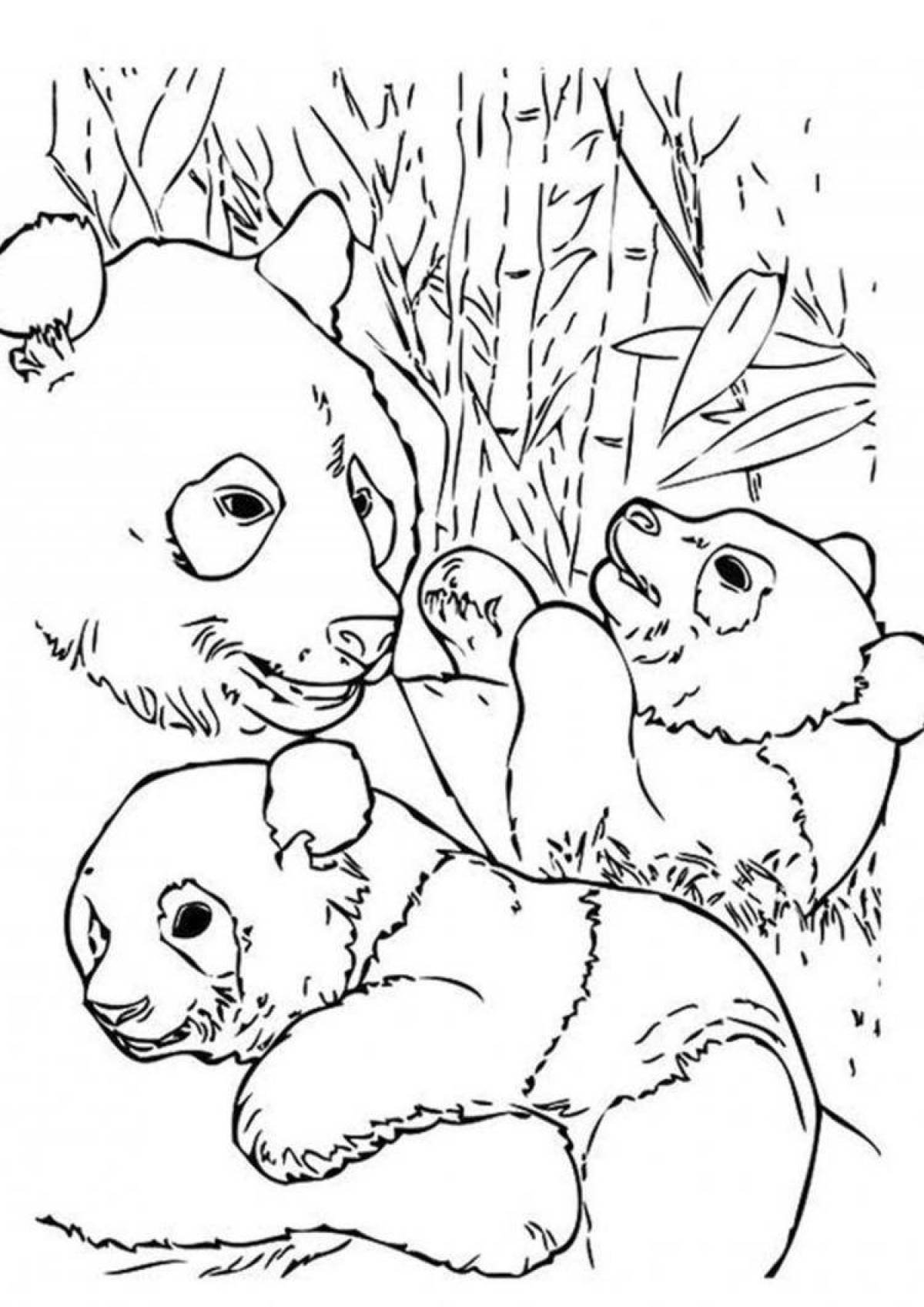 Playful coloring of domestic animals and their cubs