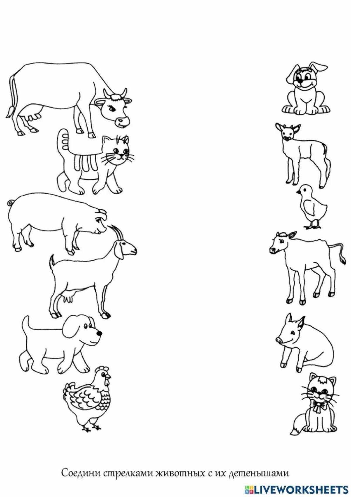 Раскраски домашних животных в отдельных коллекциях