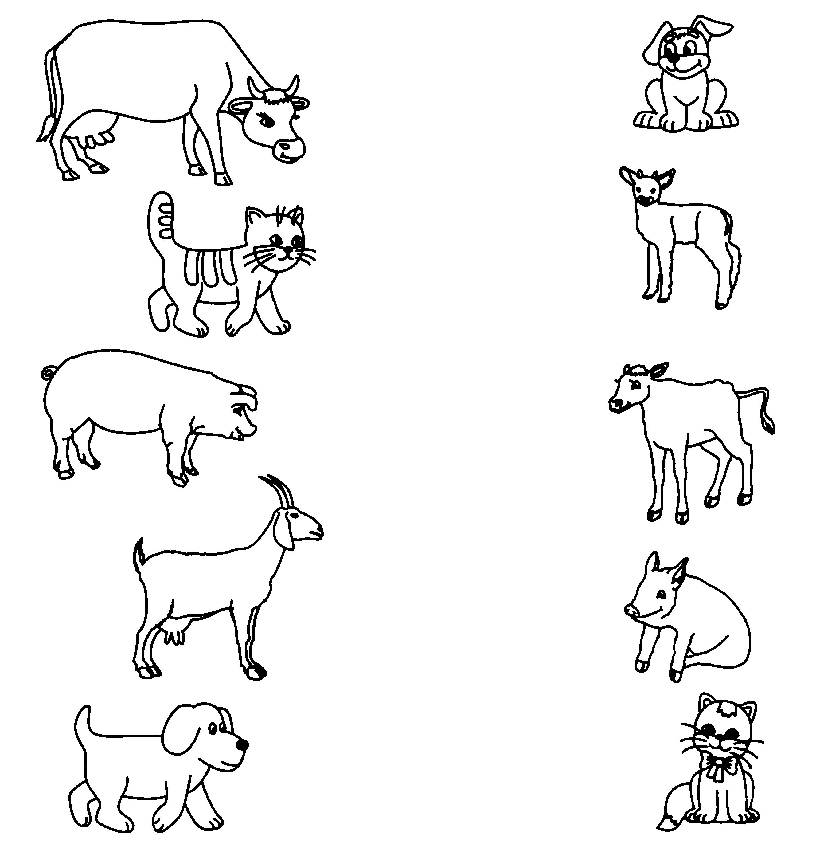 Caring coloring of domestic animals and their cubes