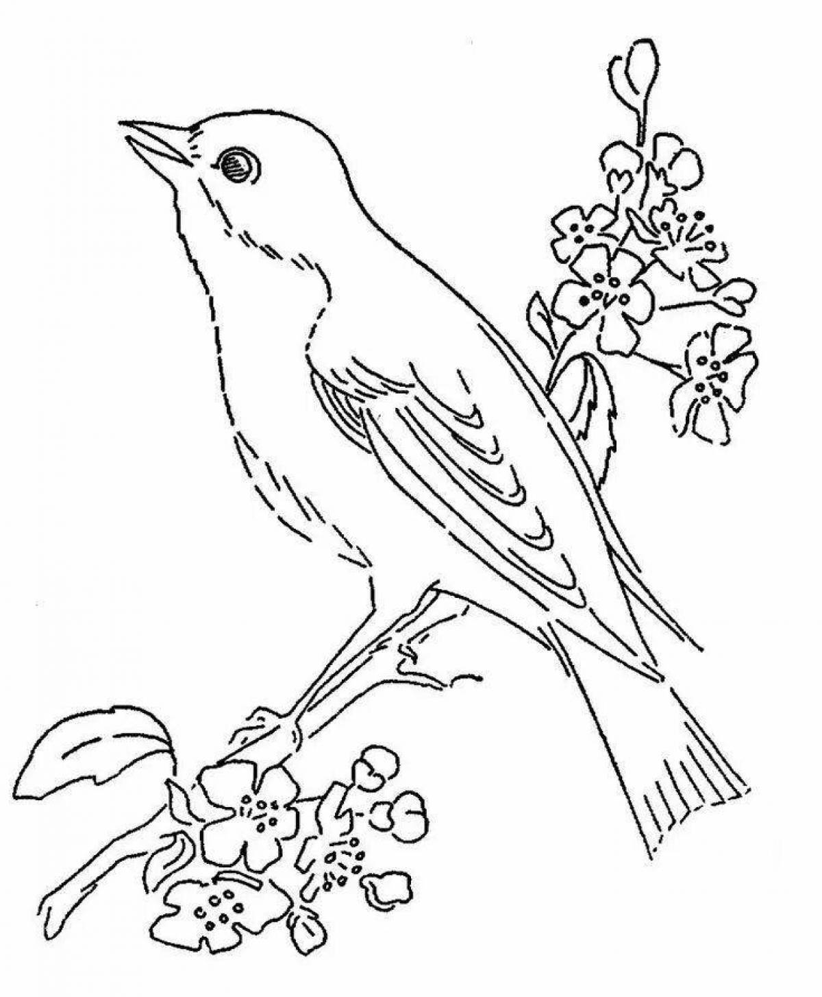 Веселая птичка на ветке