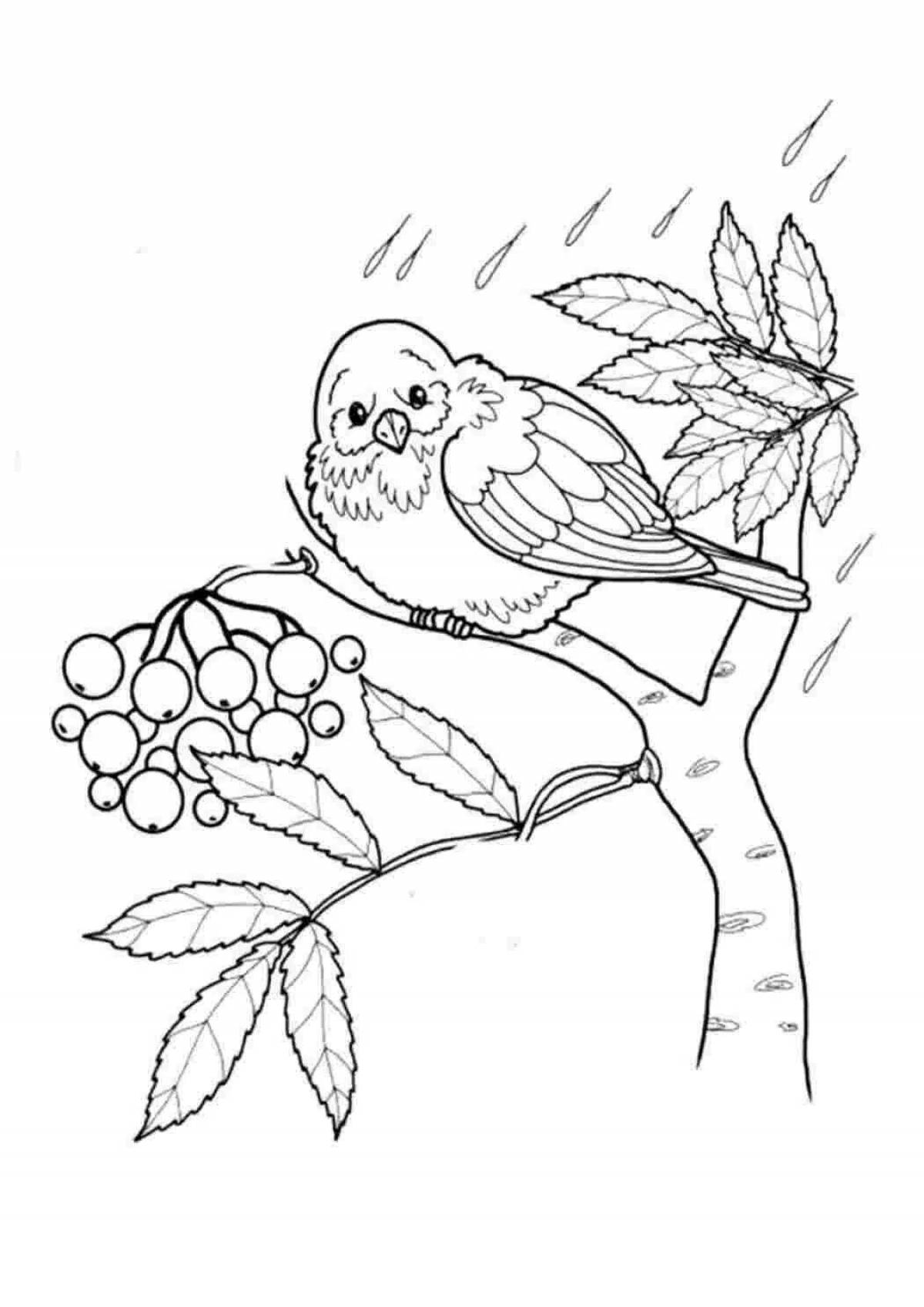 Royal bird on a branch