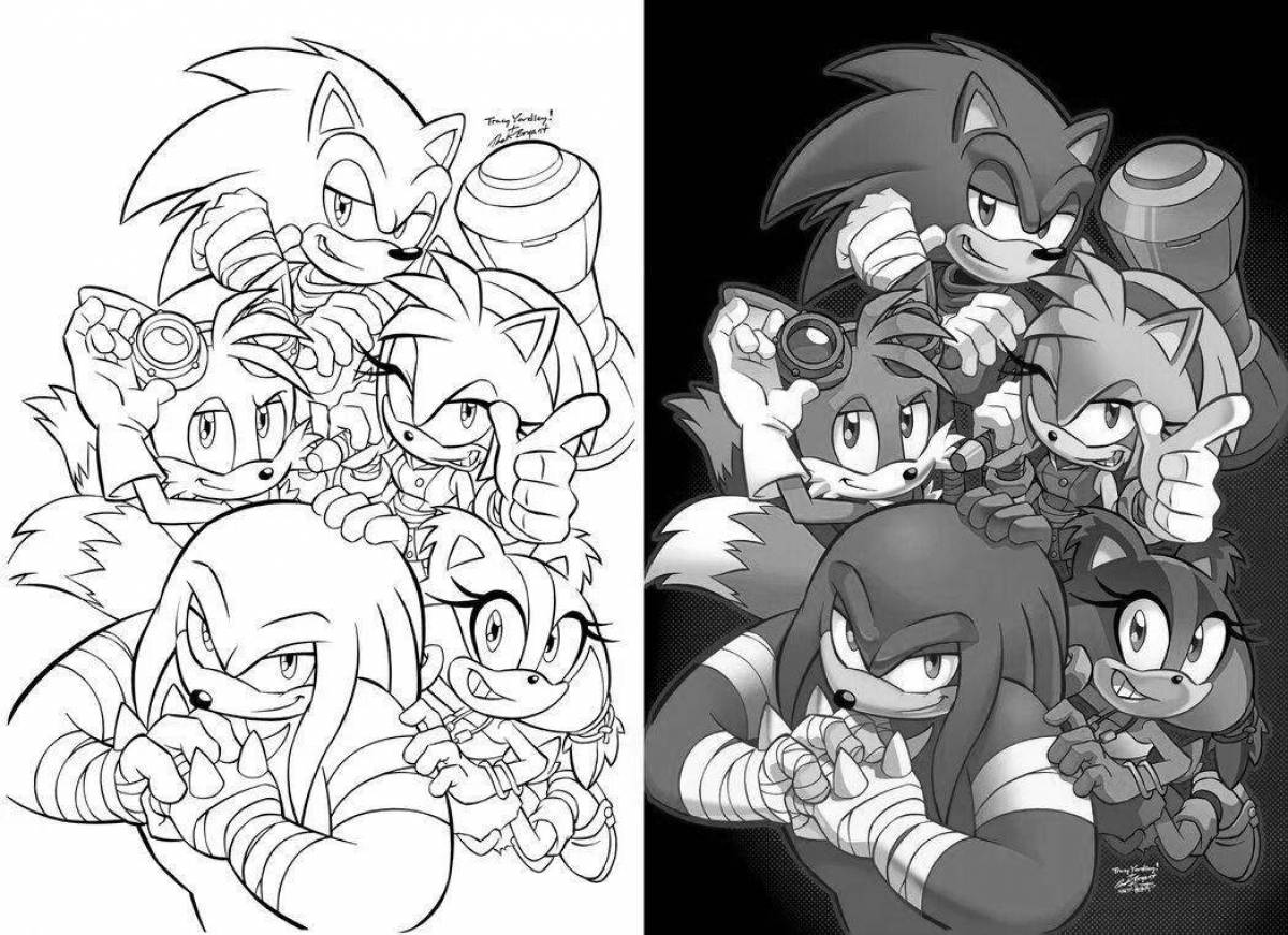 Fascinating coloring sonic whole team