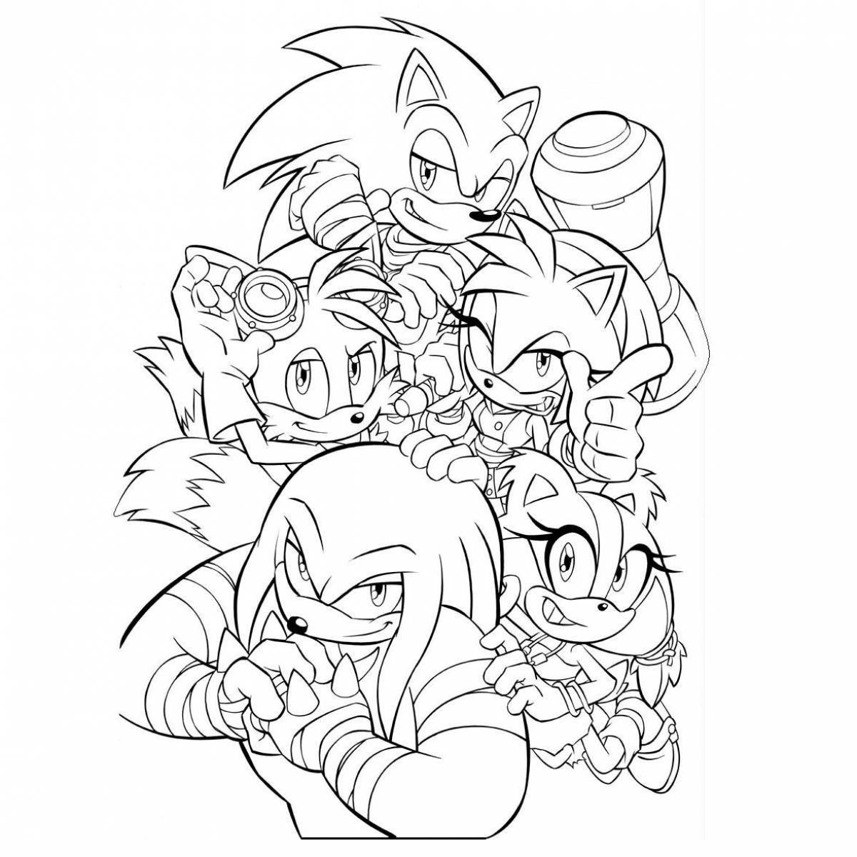 Sonic whole team awesome coloring book