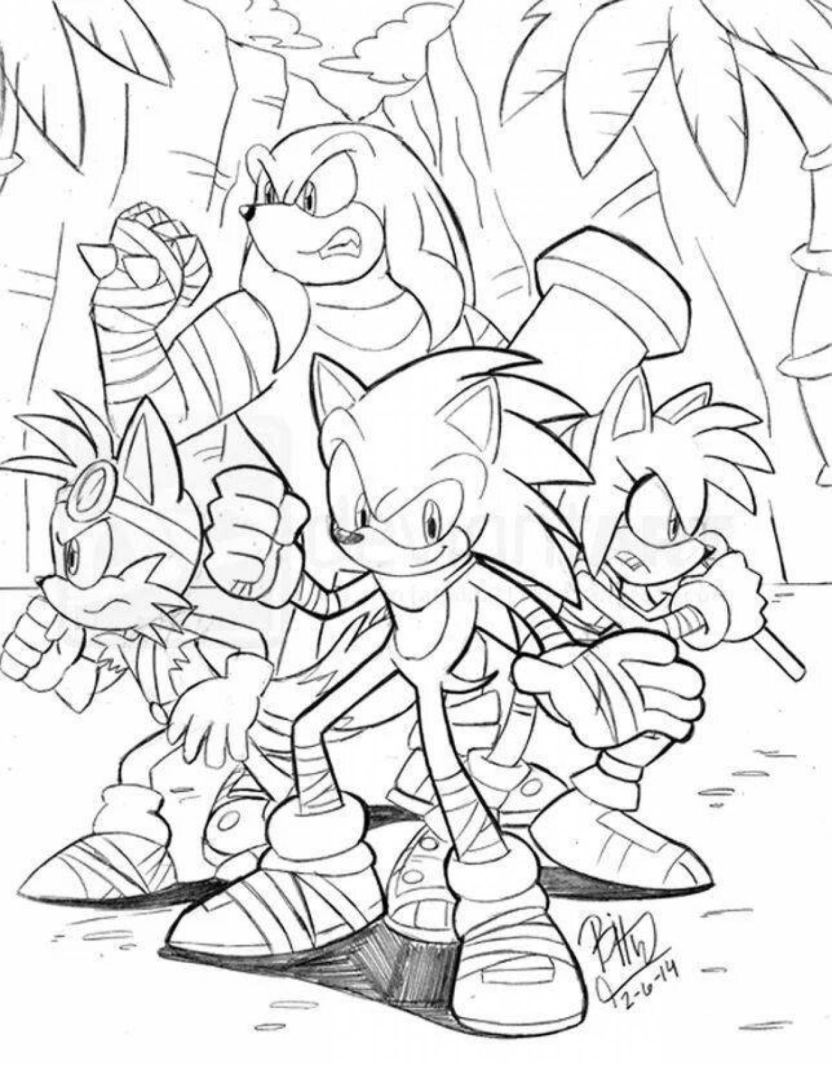 Sonic whole team incredible coloring book