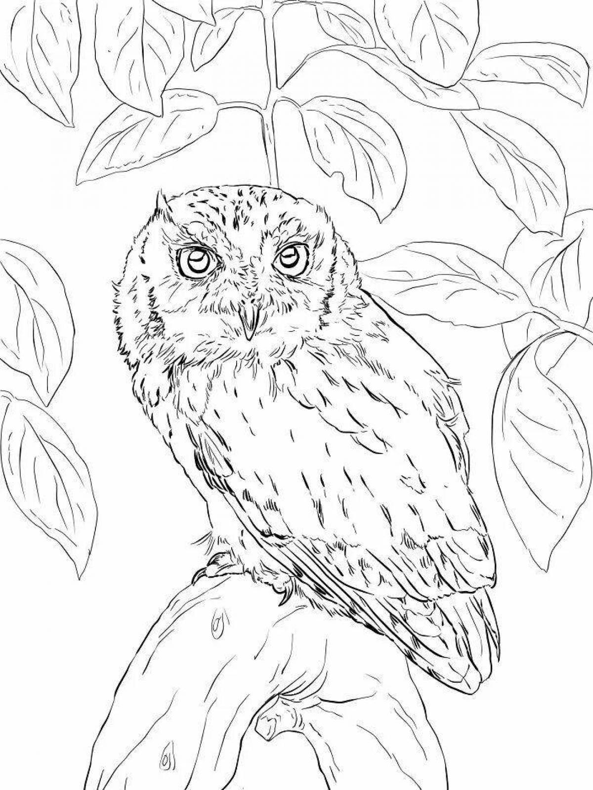 Majestic owl on a tree coloring page