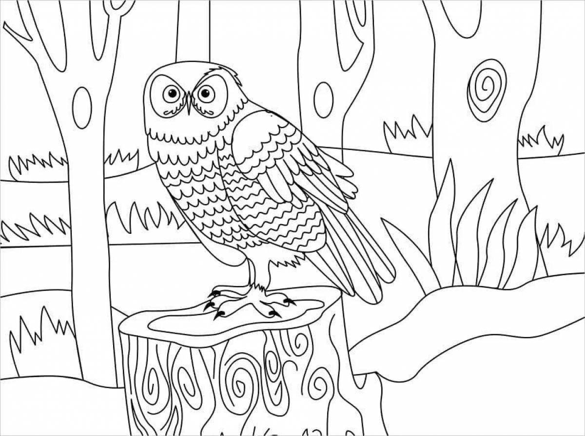 Раскраска великолепная сова на дереве