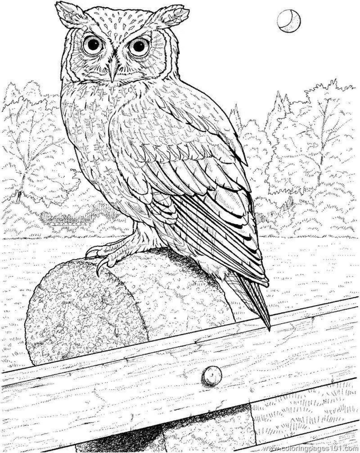 Radiant owl on the tree coloring page