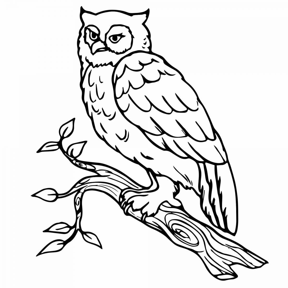 Awesome owl coloring page on a tree