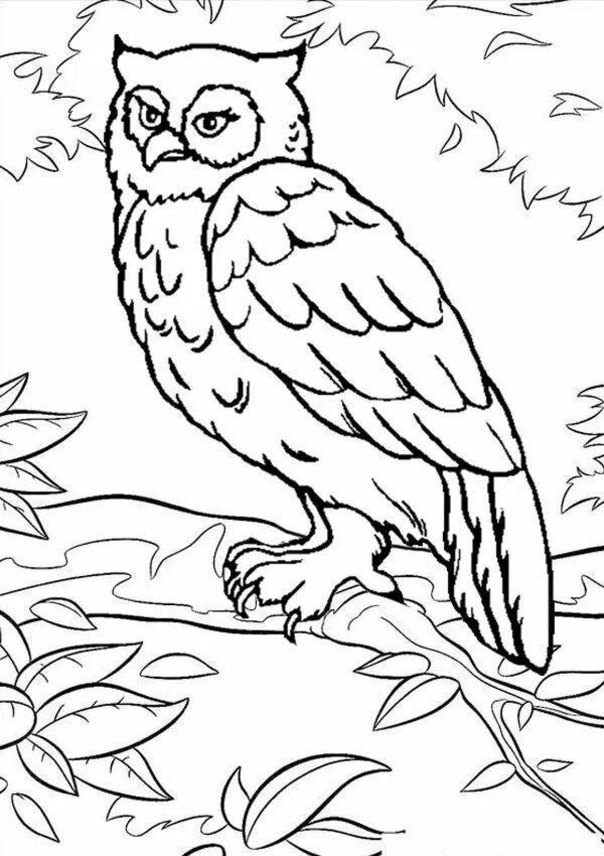 Coloring cute owl on the tree