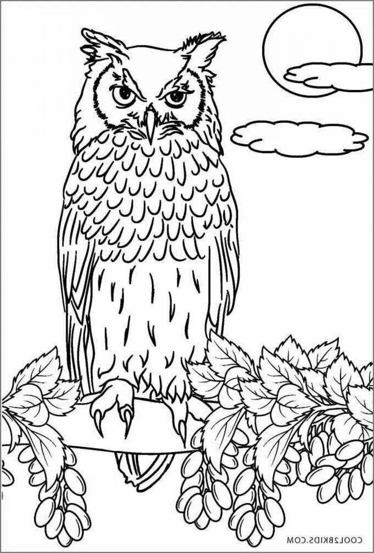 Colorful owl coloring page on a tree