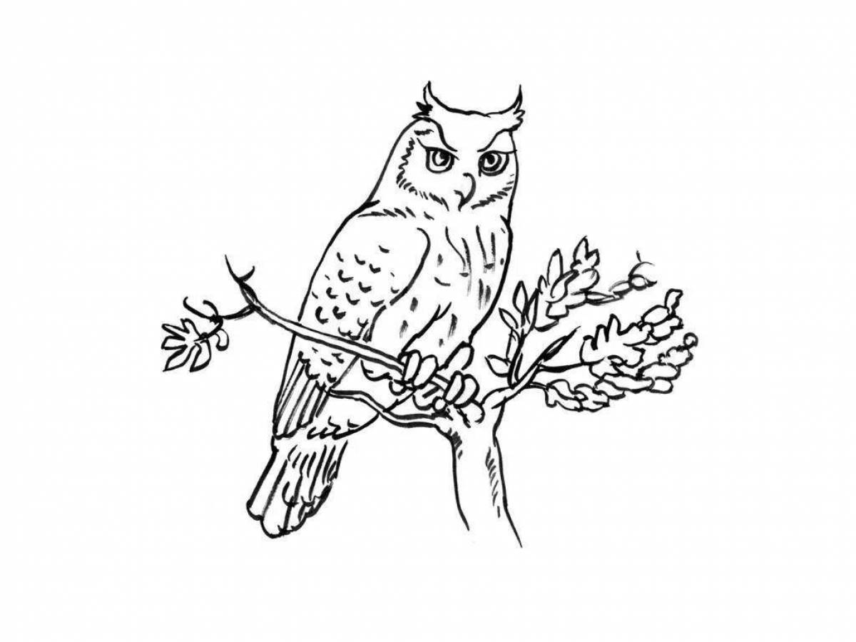 Coloring page dazzling owl on a tree