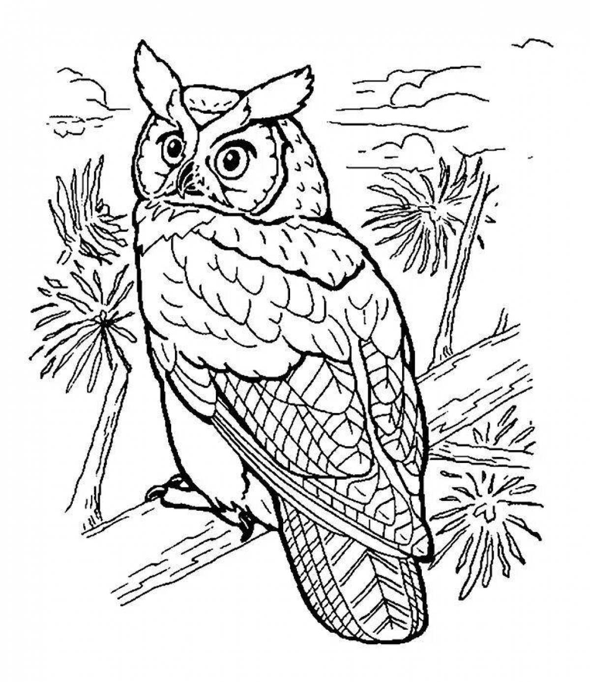 Coloring page hypnotic owl on a tree