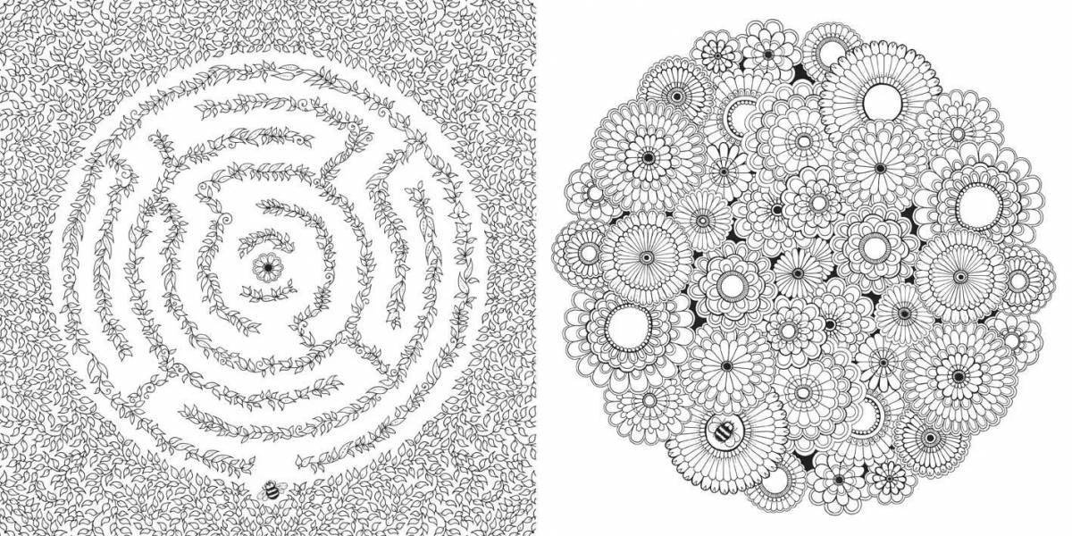 Блестящая раскраска таинственный сад антистресс
