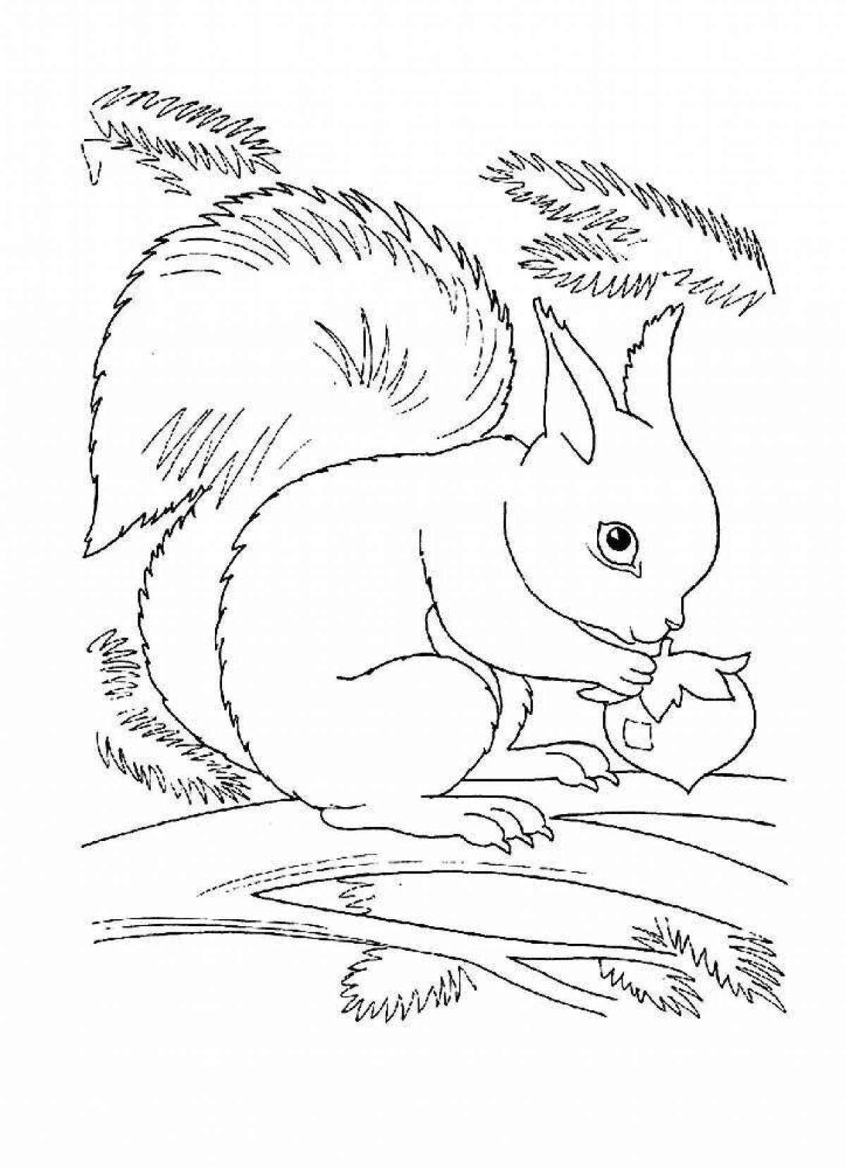Attractive squirrel with nuts coloring