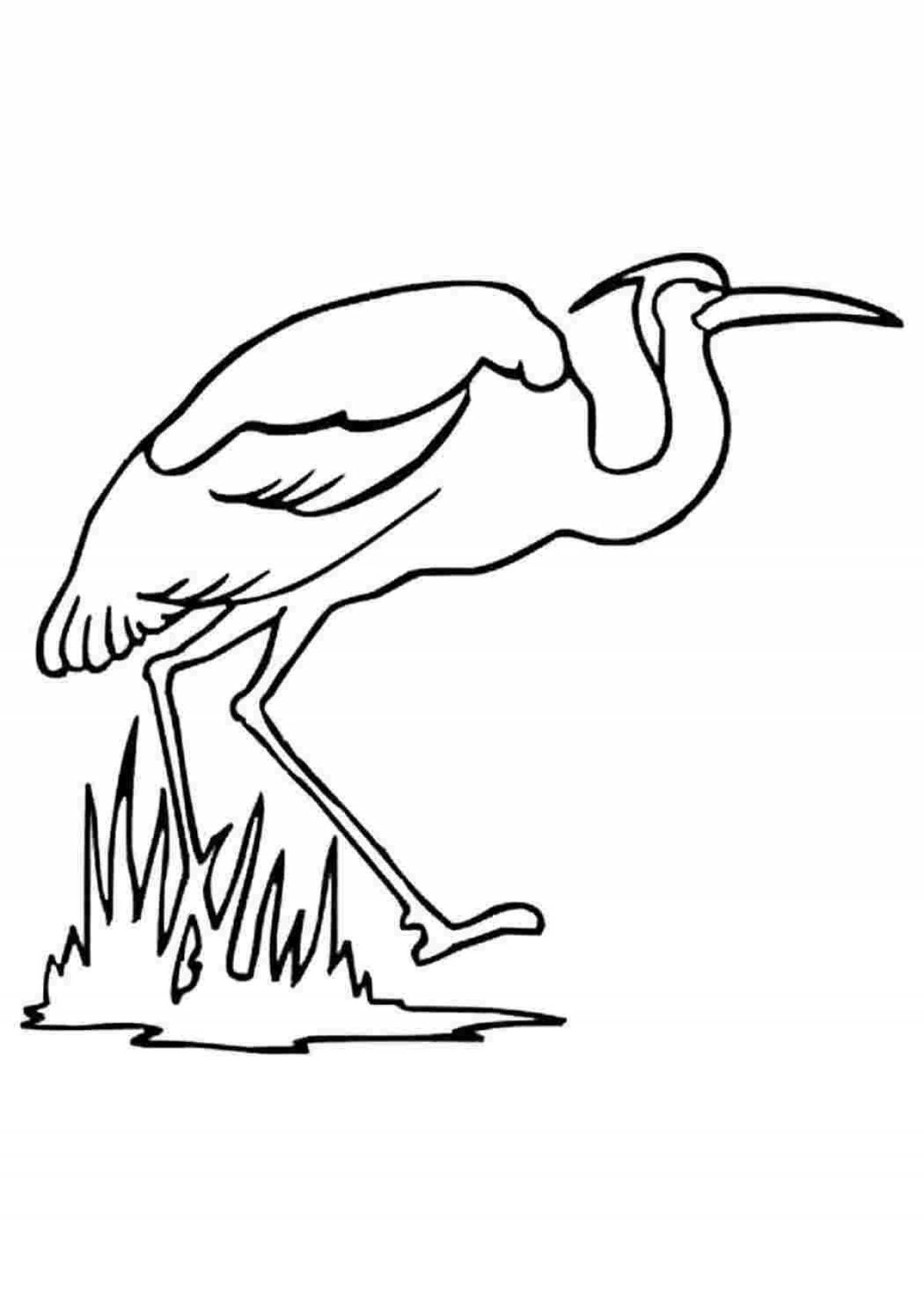 Colorful heron coloring page for kids