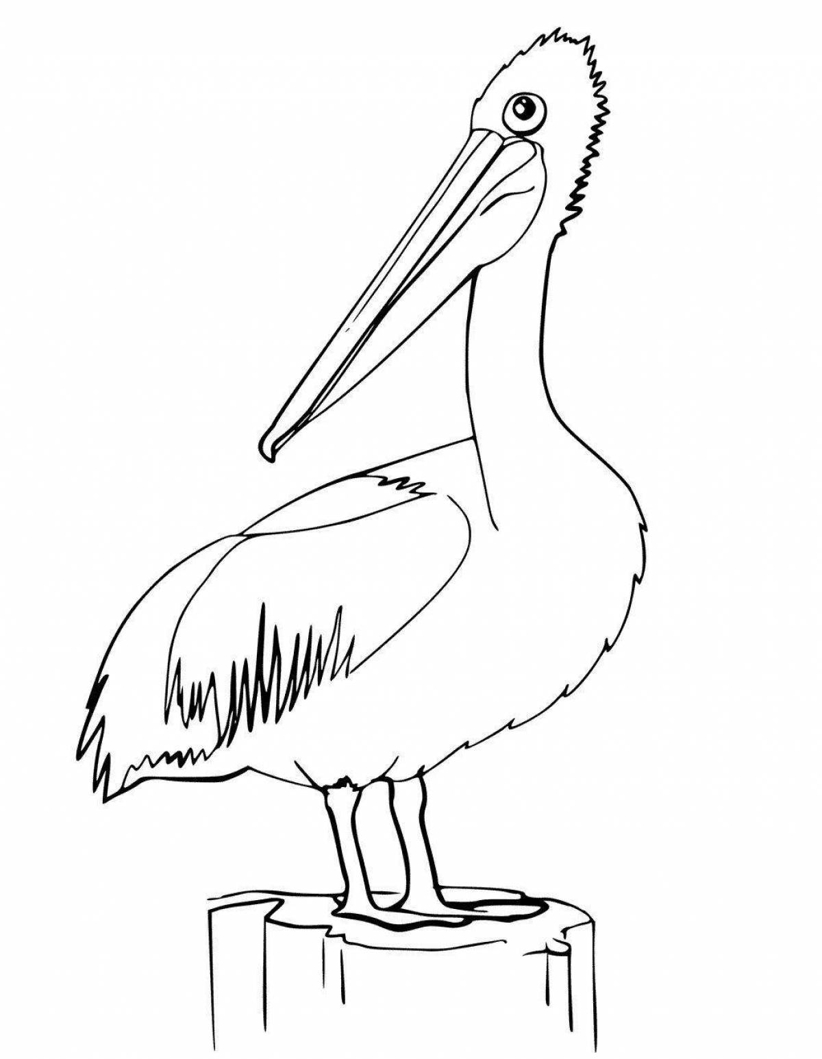 Gorgeous heron coloring book for kids