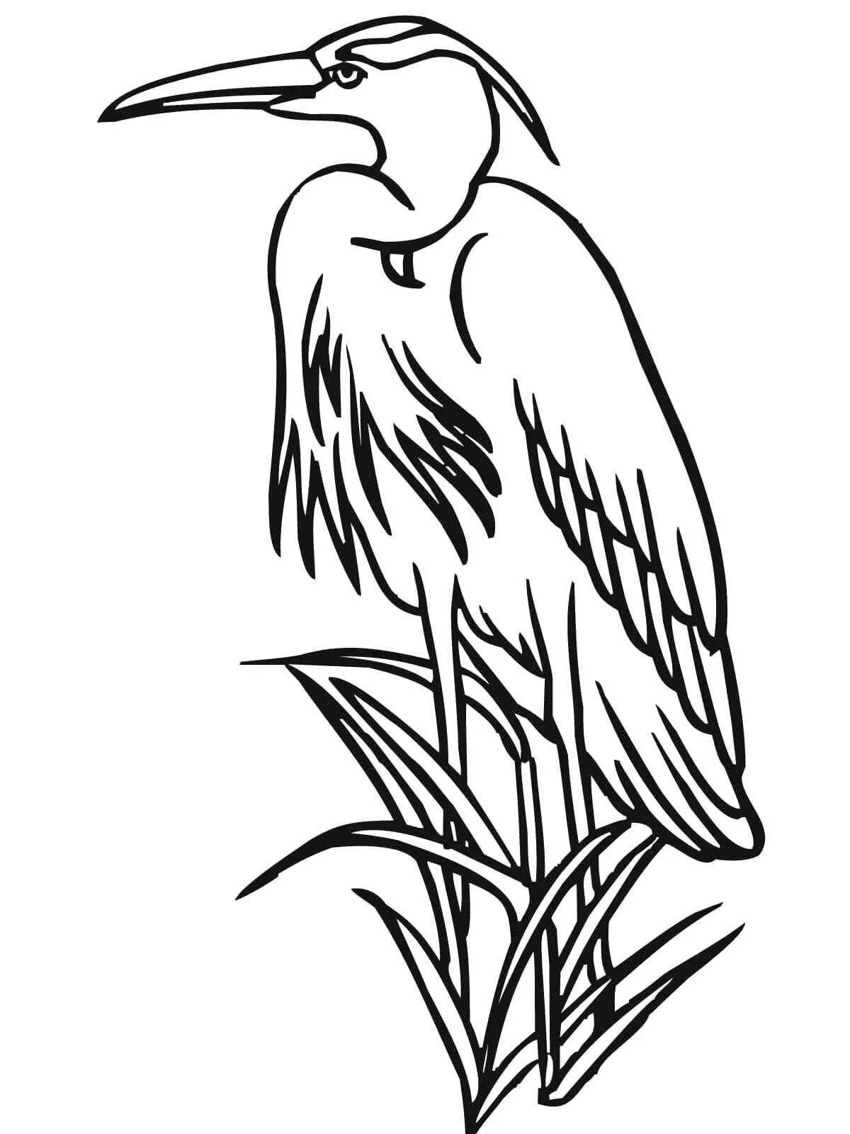Fairy egret coloring pages for kids