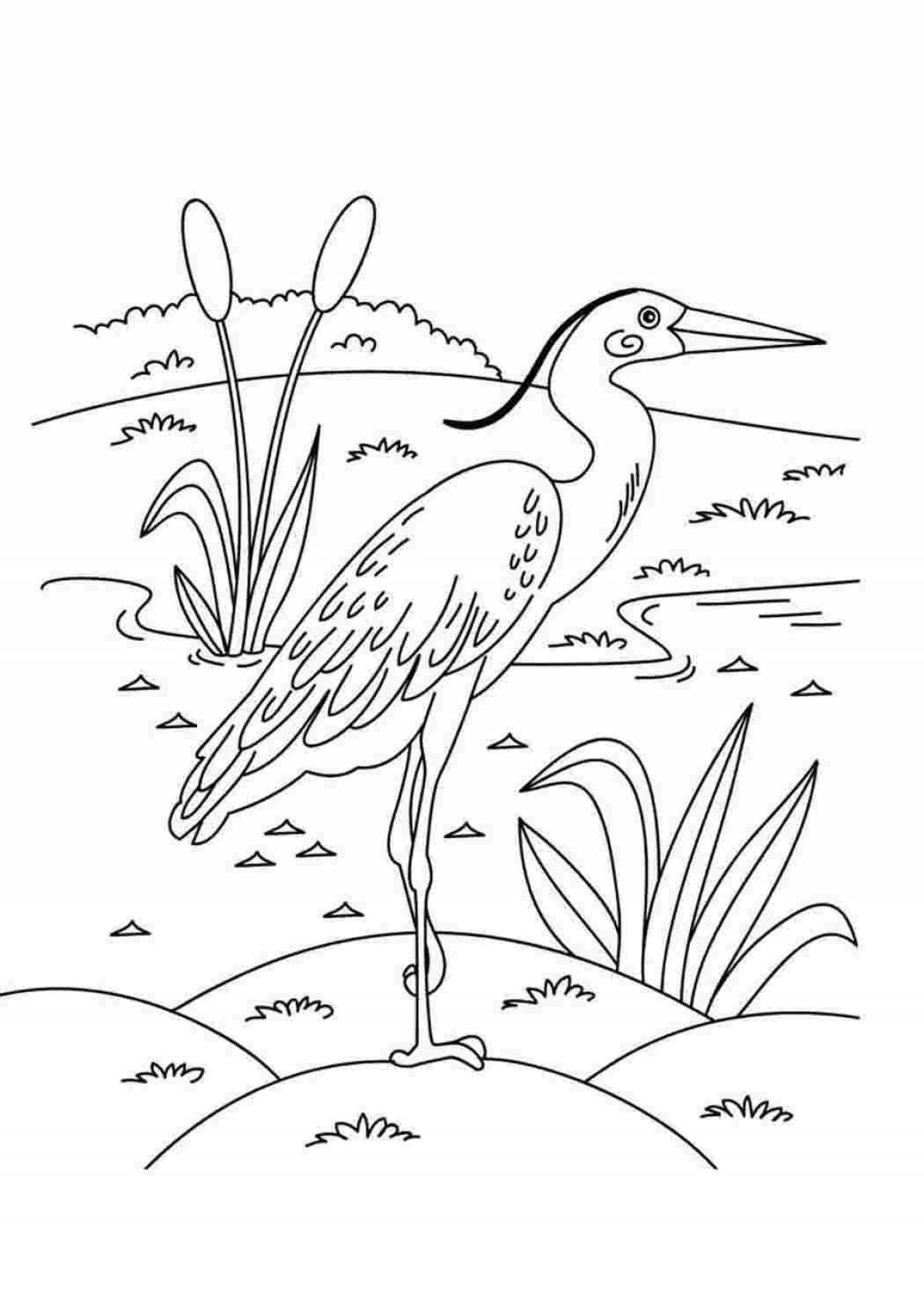 Incredible heron coloring book for kids