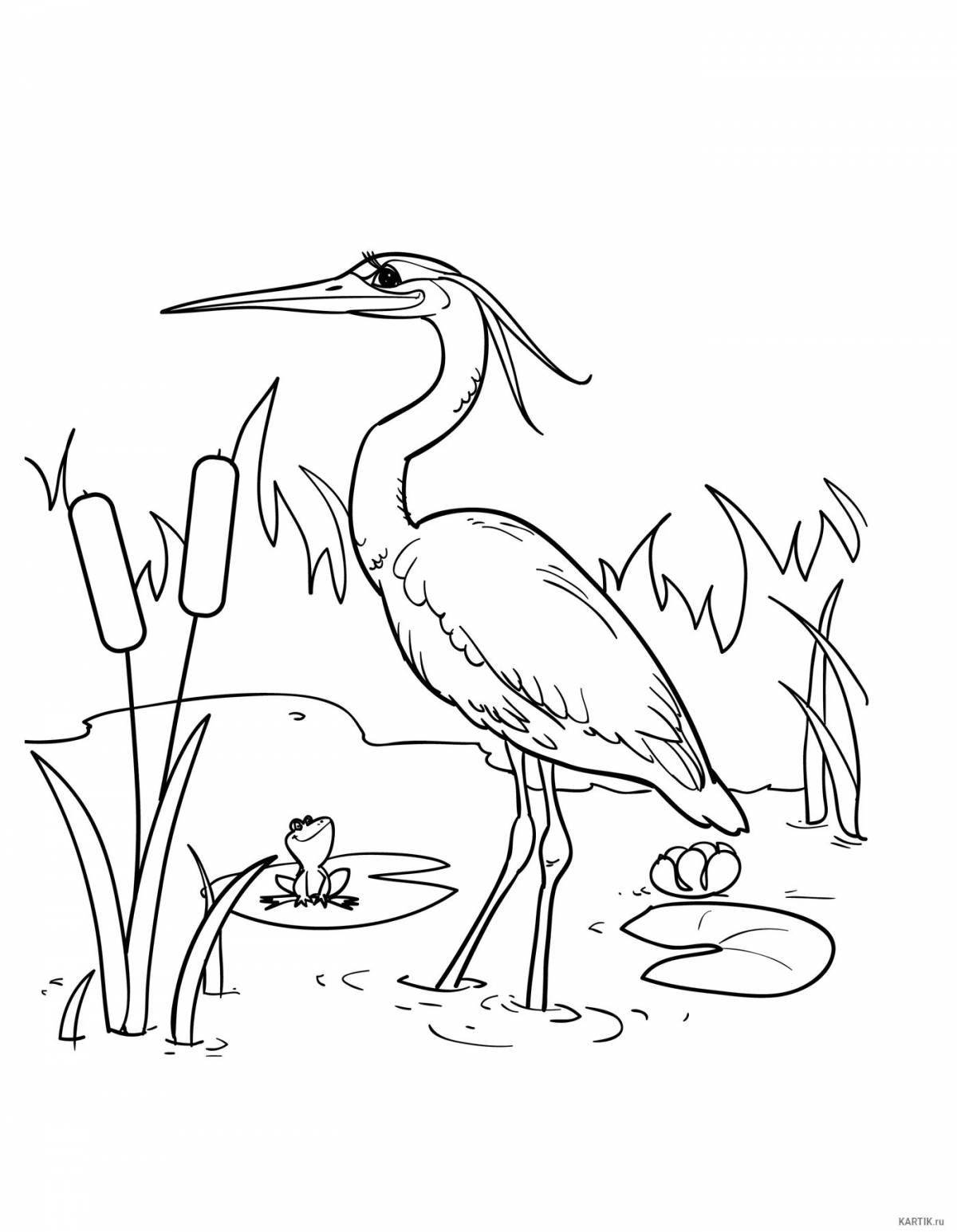 A wonderful heron coloring book for kids