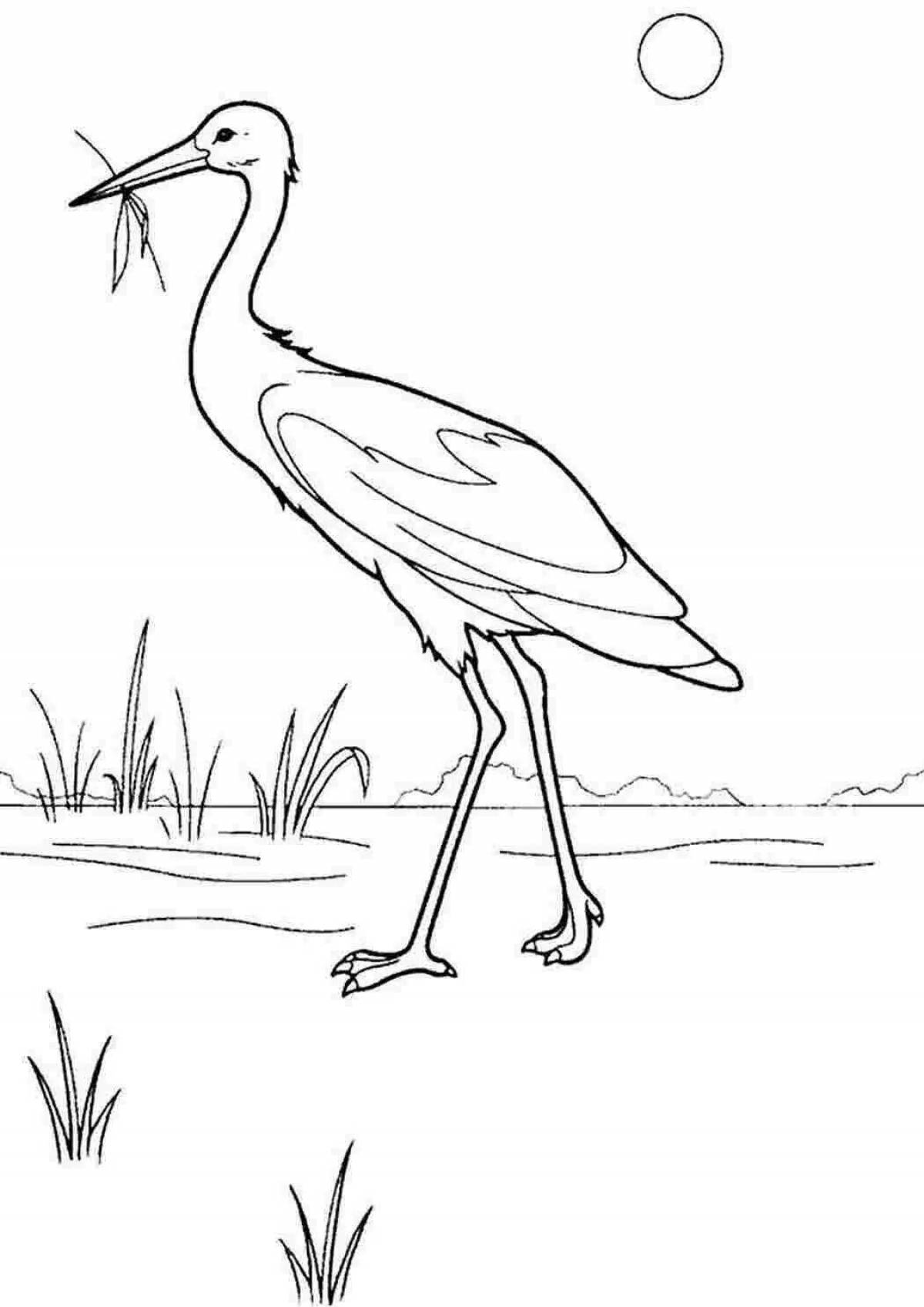 Cute heron coloring pages for kids