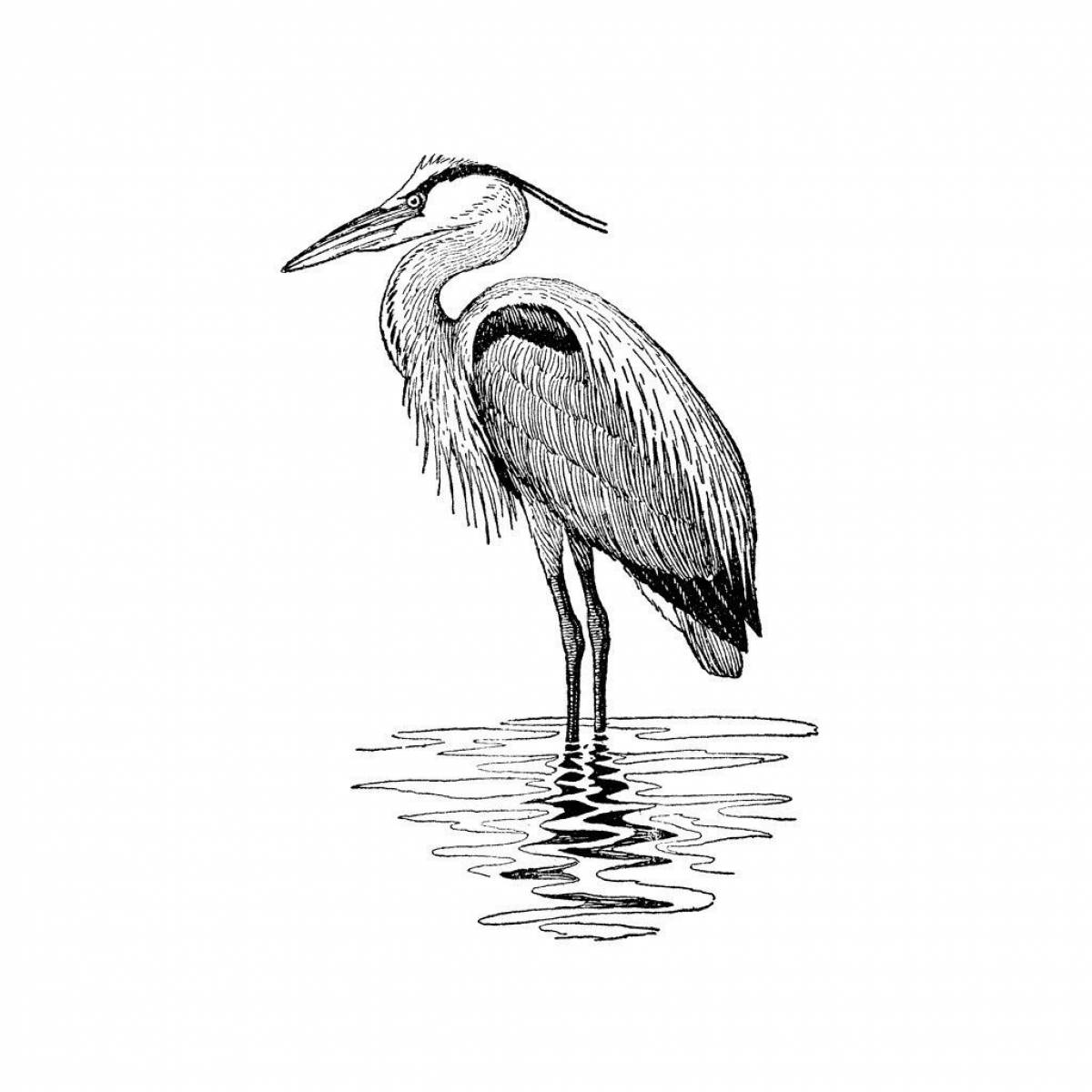 Funny heron coloring book for kids